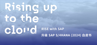 SNP【白皮书】RISE with SAP & SAP S/4HANA (2024)升级白皮书